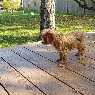 AlphaDeck Composite Decking Teak 360x14cm - Alternative Image