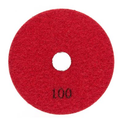 Dry Polishing Pad 100mm